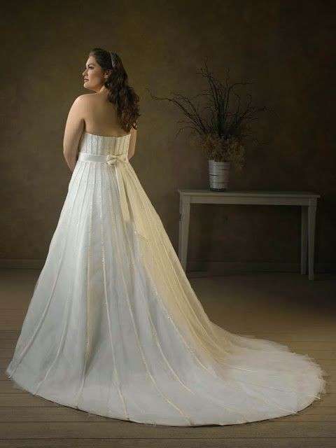 wedding-dresses-for-chubby-autumn-winter-2017-tail 