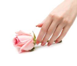 Uñas color pastel cortas naturales carne oscuras y bordes blancos