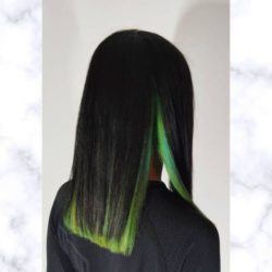 Pelo largo bicolor puntas verdes