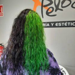 Pelo bicolor negro-verde