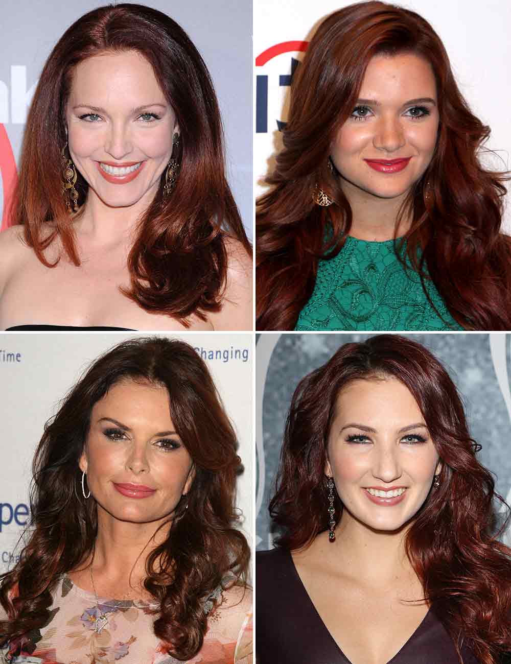 Pelaje marrÃ³n oscuro