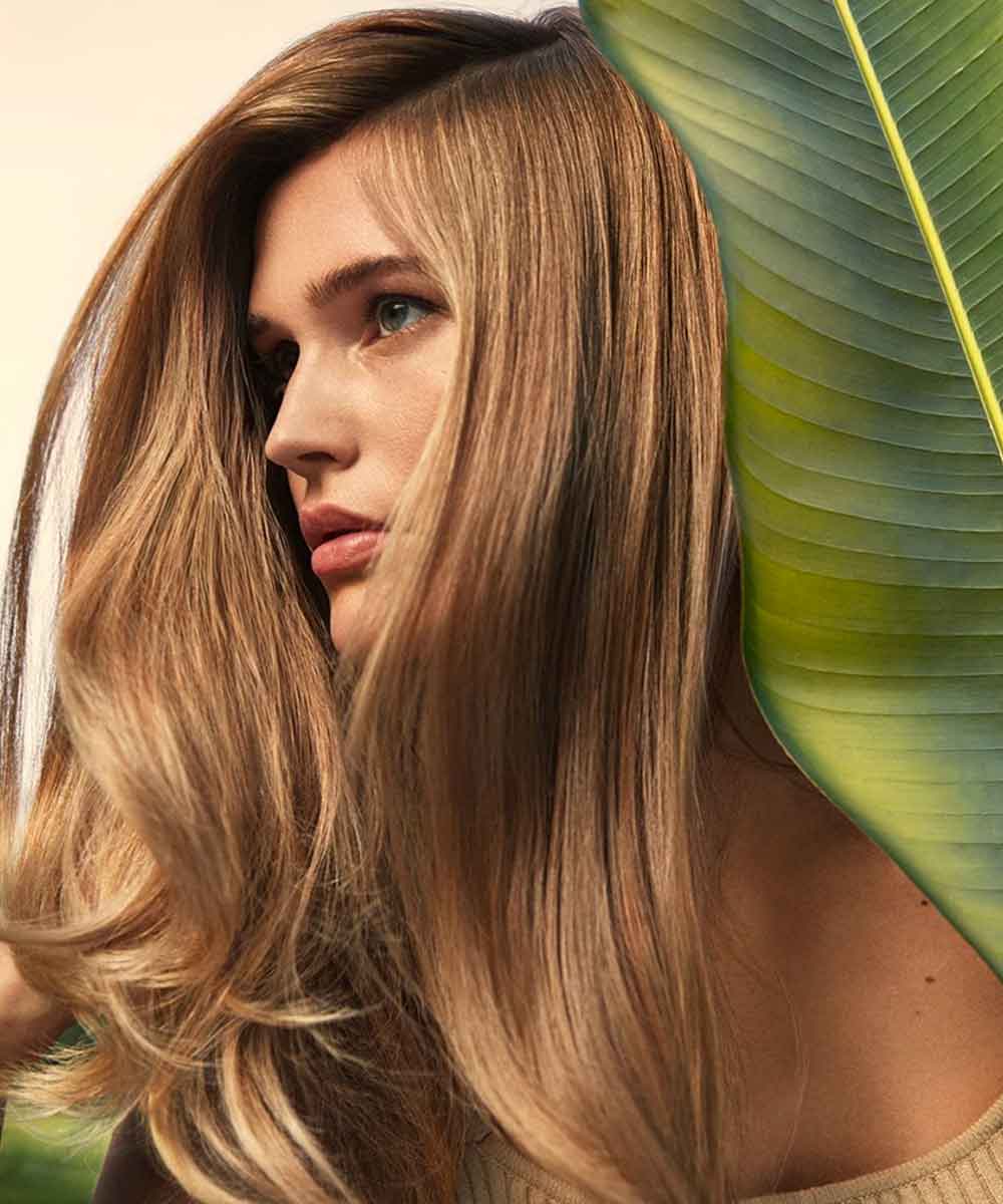 Pelo escalado pelo largo y liso verano