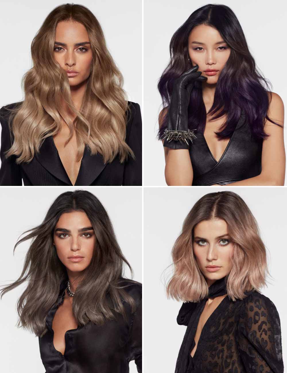 Pelo ahumado pelo ondulado Pelo ahumado pelo ondulado